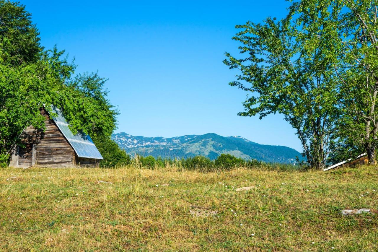 Stevovic Appartement