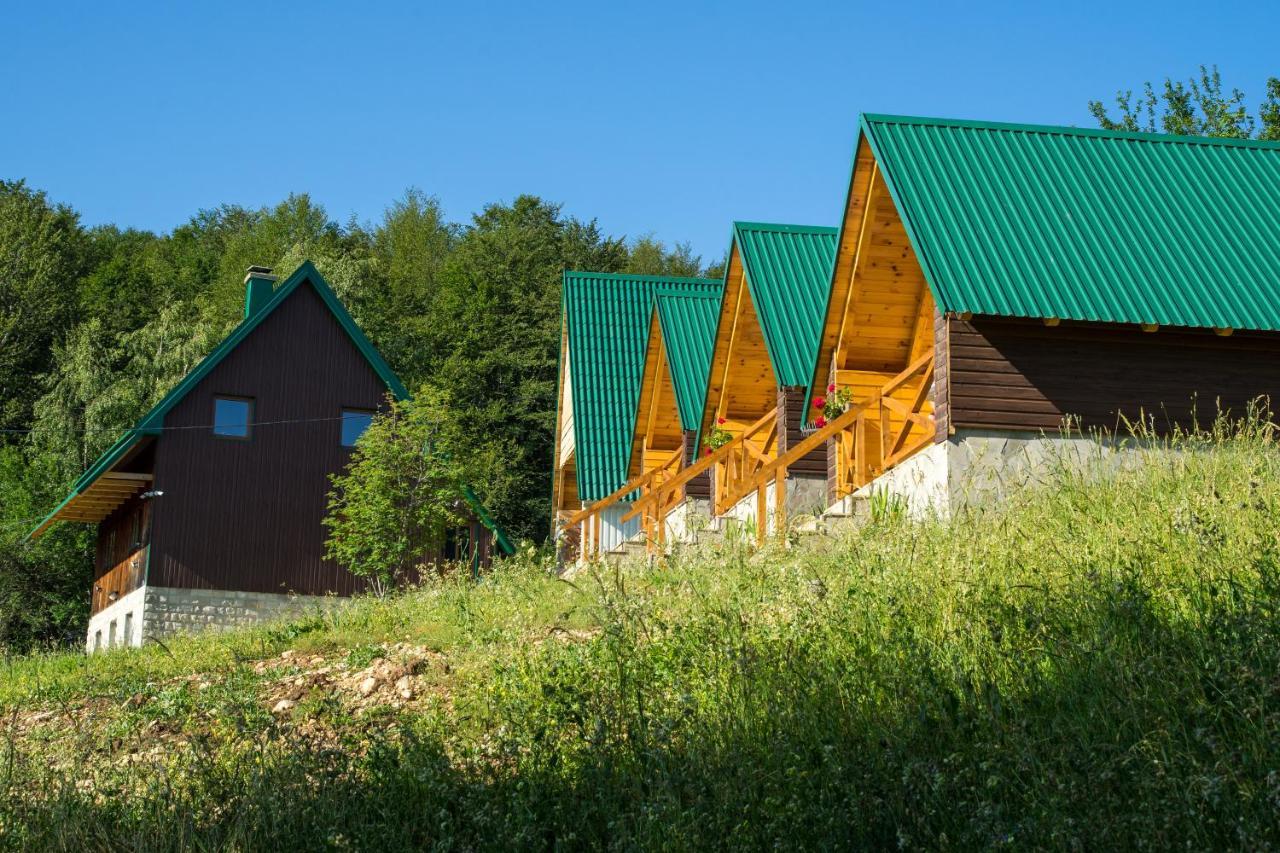 Stevovic Zabljak (Zabljak)