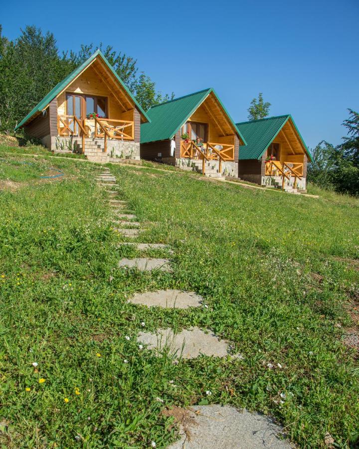 Apartment Stevovic