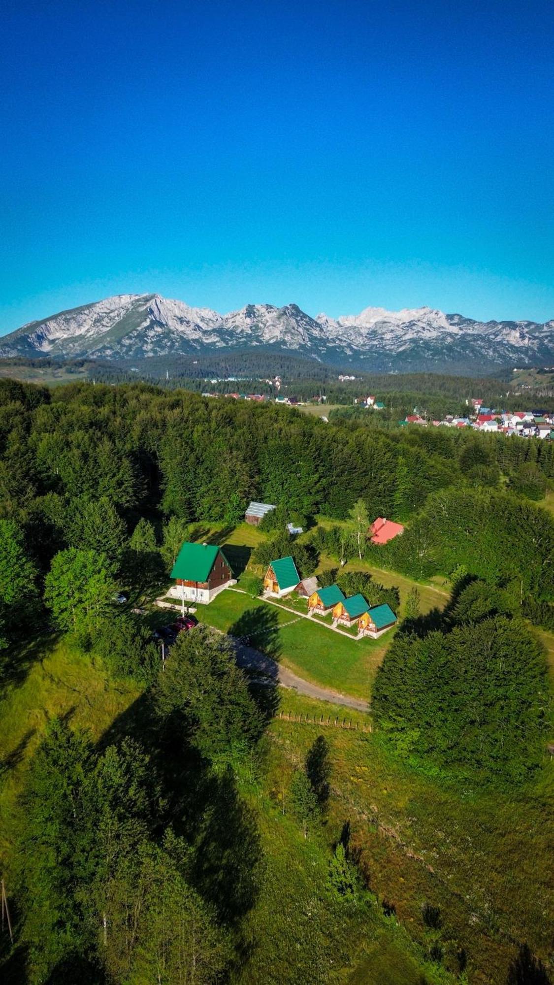 Apartment Stevovic